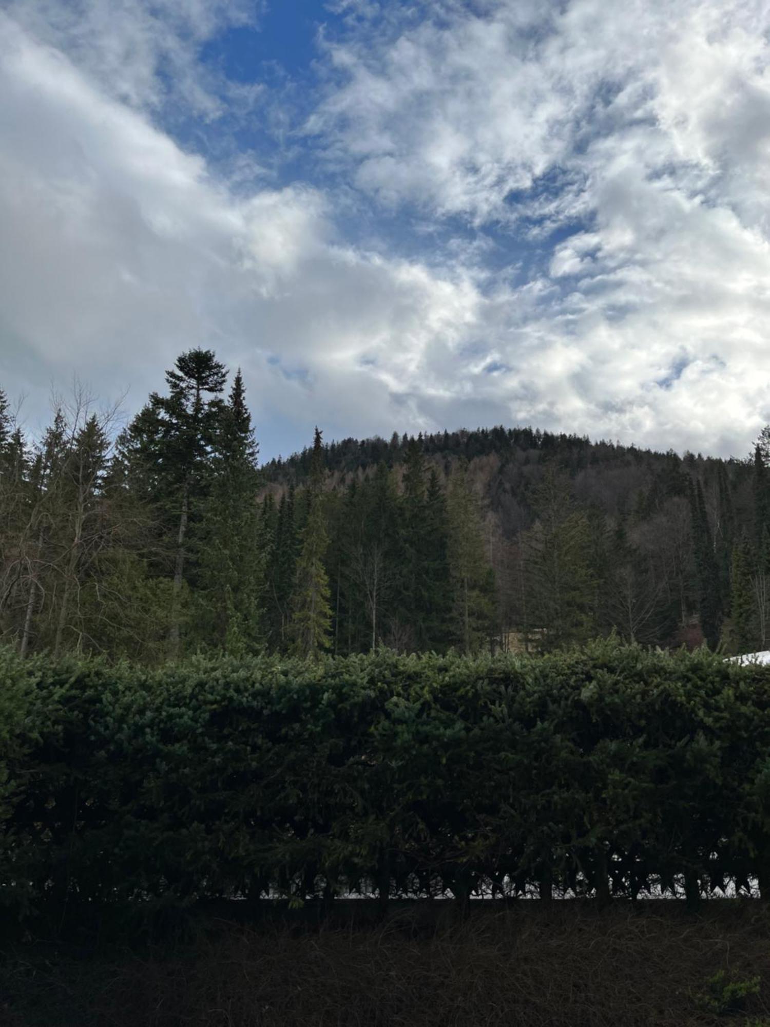 Fewo Lautersee Mittenwald Exterior foto