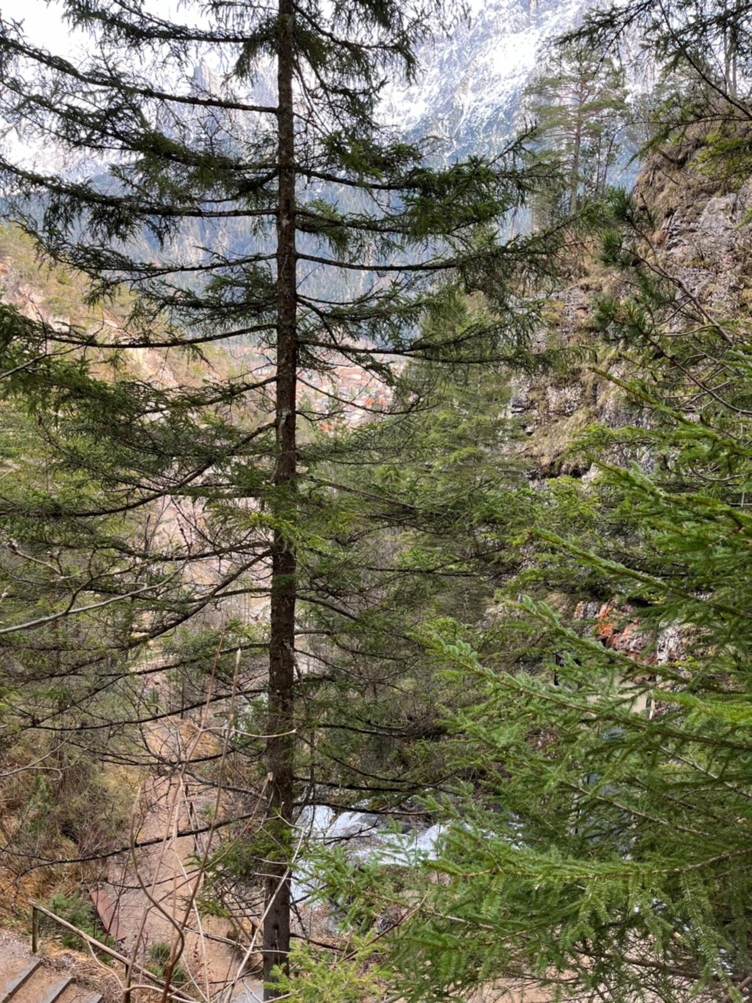 Fewo Lautersee Mittenwald Exterior foto